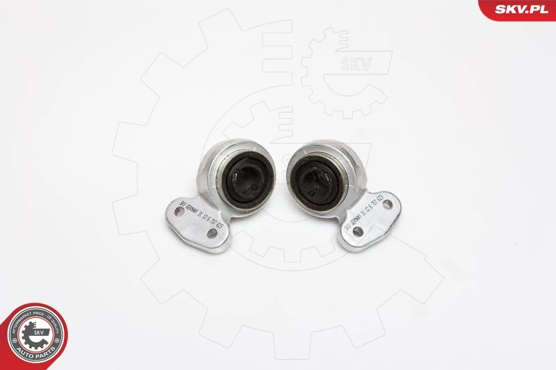 Mounting, control/trailing arm